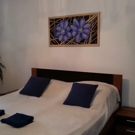 Liget Szinei Apartman Apartmán